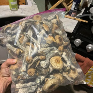 mushroom dispensary Colorado